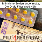 Männliche Seidenraupenmotte, Die Orale Flüssigkeit Nährt new06